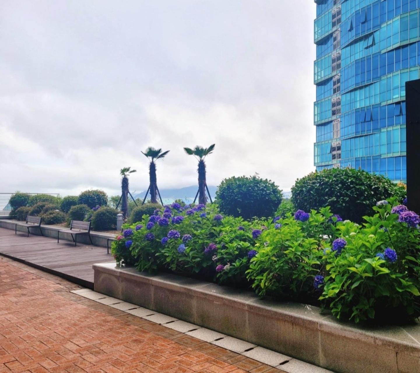 Pale De Cz Condo Busan Extérieur photo